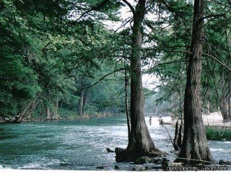 Gruene River (adults Only)